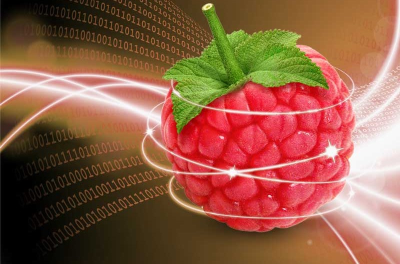 Une Raspberry Pi en Serveur web