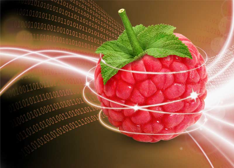 xeoma web raspberry pi